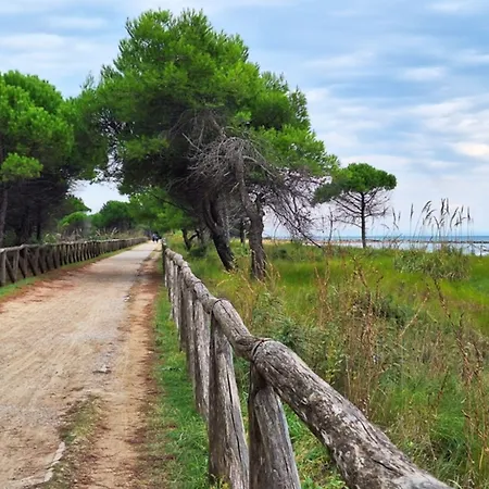 Charming With Garden Bibione